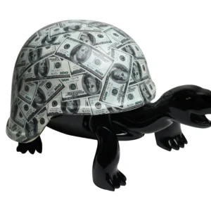 Turtle Black