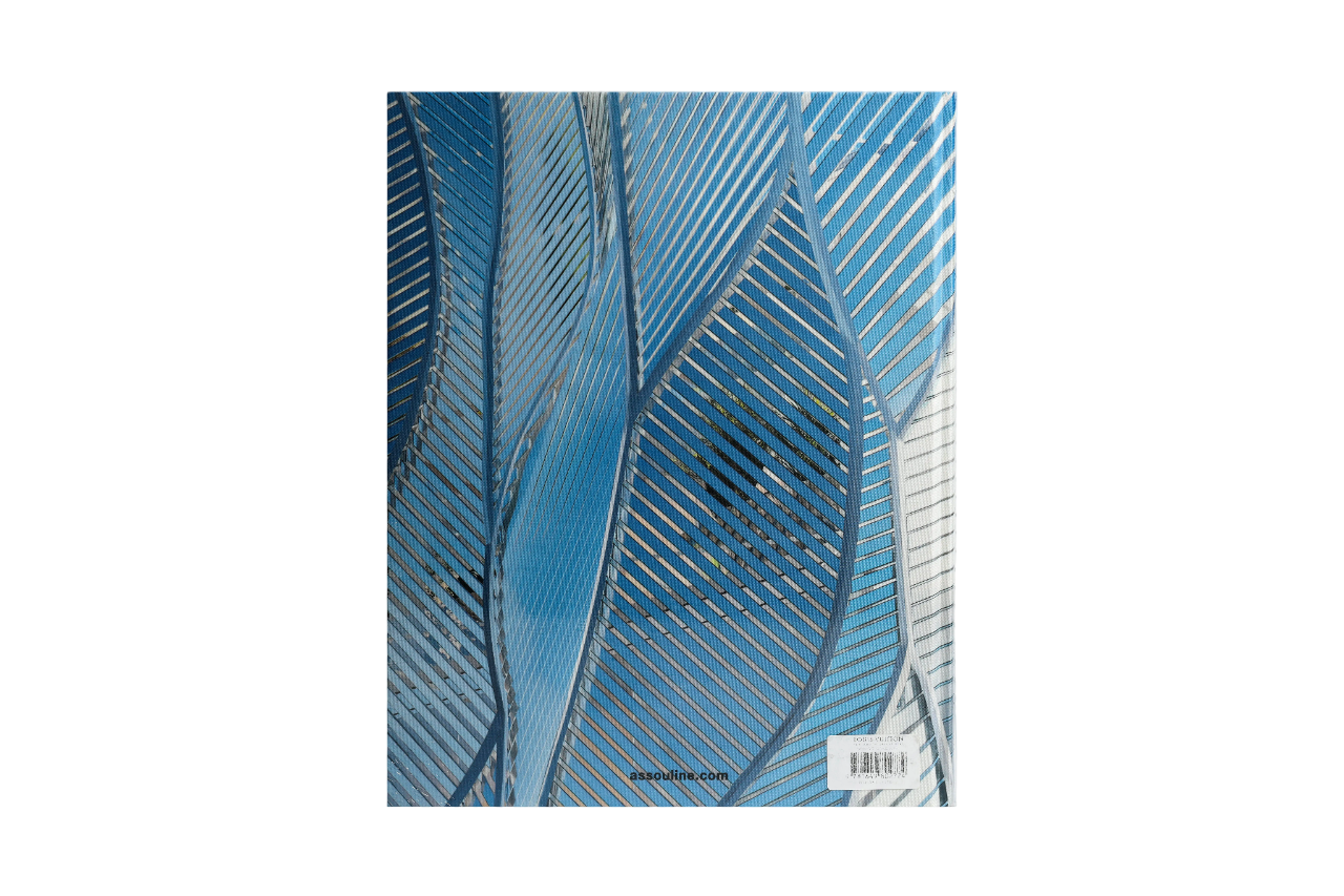 Con lv Skin The Arch Of Luxury Beijing Ed